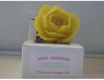 Rosa Perfumada  11 Cm