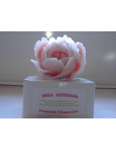 Rosa Perfumada  Matizadas 11 Cm